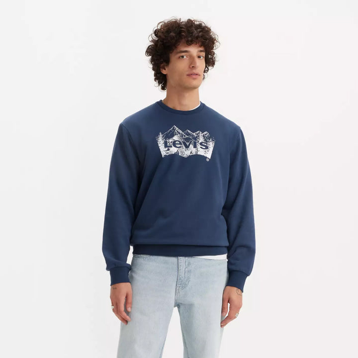 Levi's Standard Graphic Crew Neck