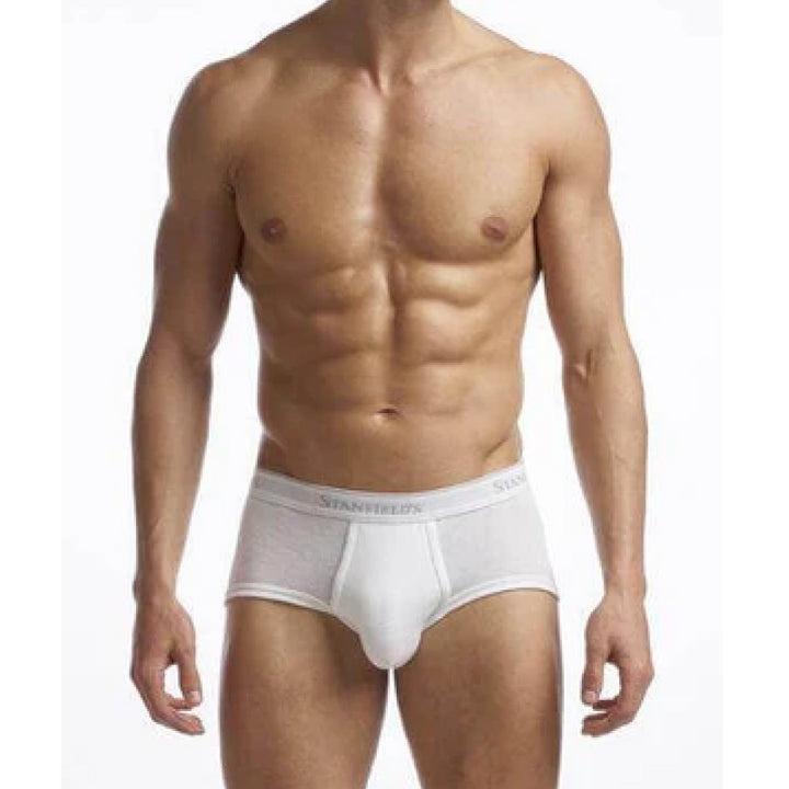 Stanfields Men's Supreme Brief - 2 Pack