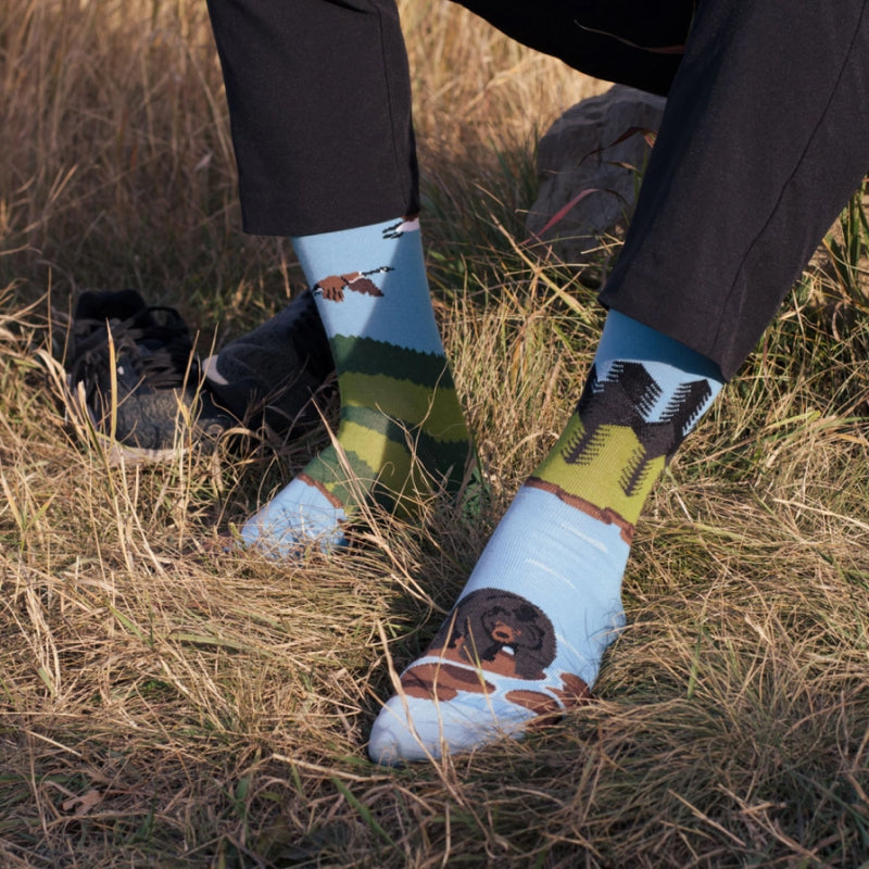 Friday Sock Co. - Chaussettes Paysage Canadien Canadian Shield pour Hommes