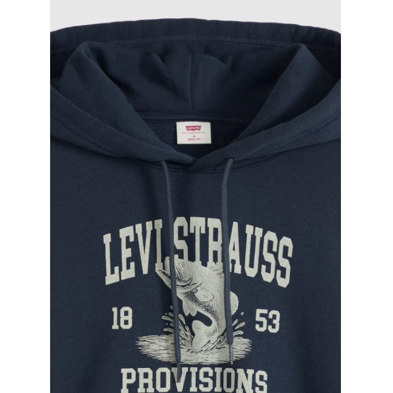 Levi's Graphic Boxy Hoodie