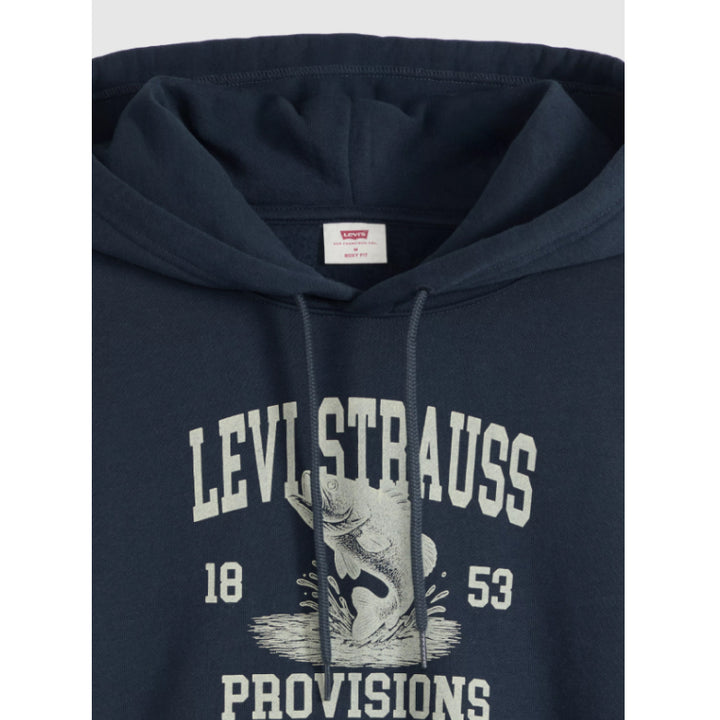 Levi's Graphic Boxy Hoodie