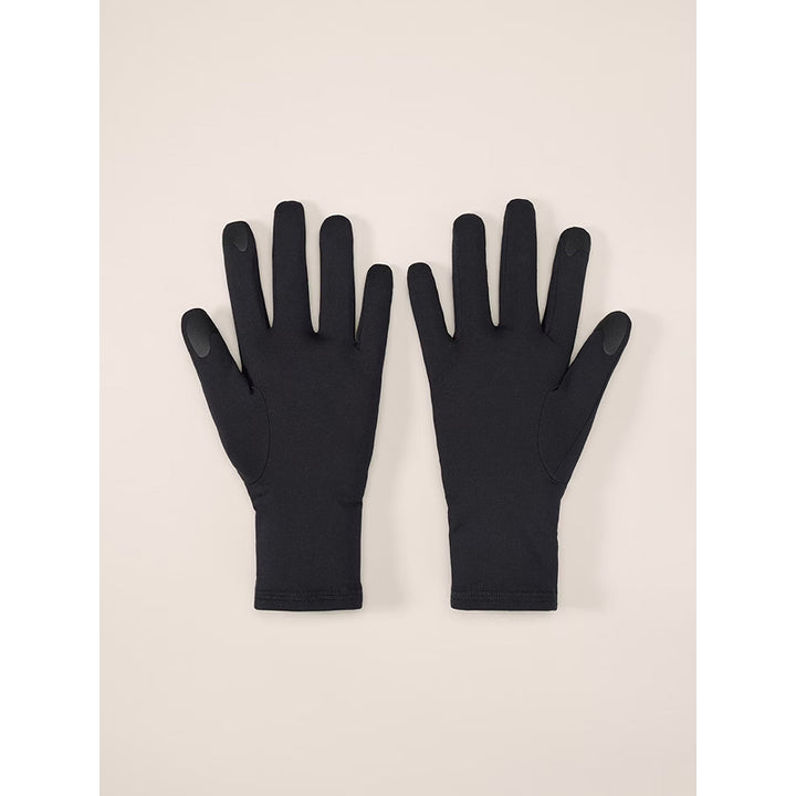 Gant Arc'teryx Rho