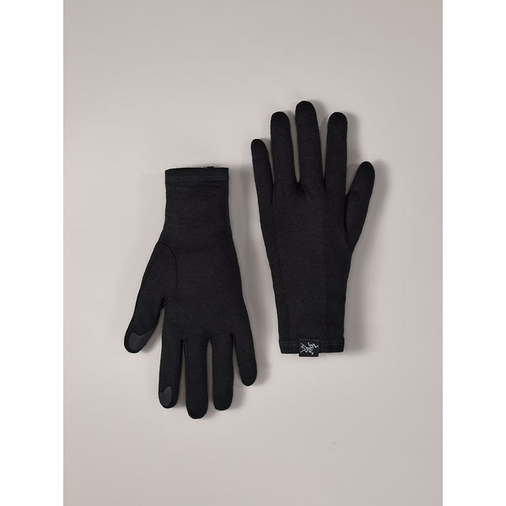 Gants Gothic Arc'teryx