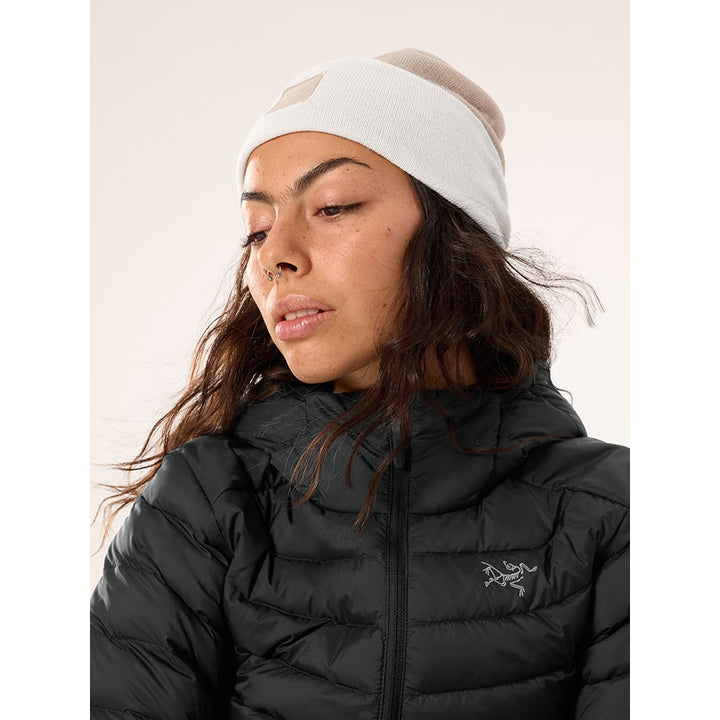 Bonnet Colour Block Arc'teryx