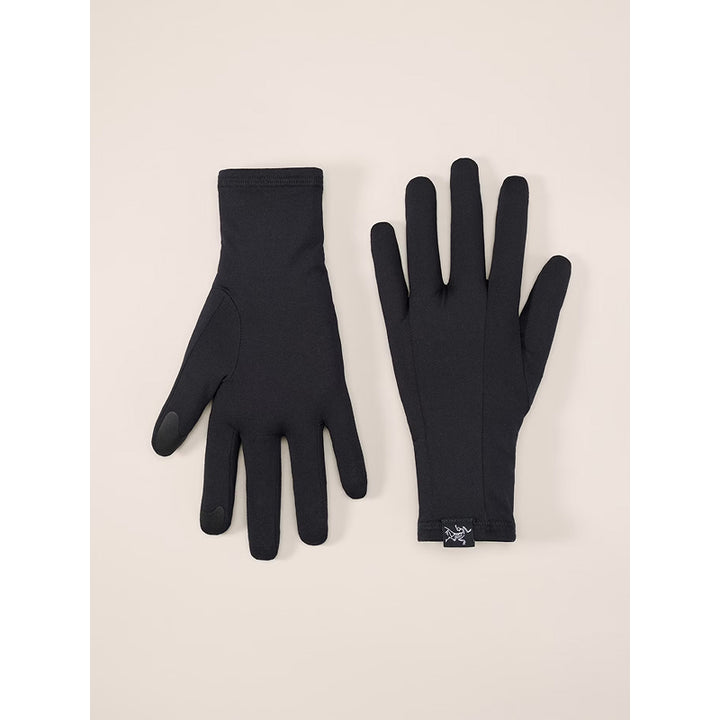 Gant Arc'teryx Rho