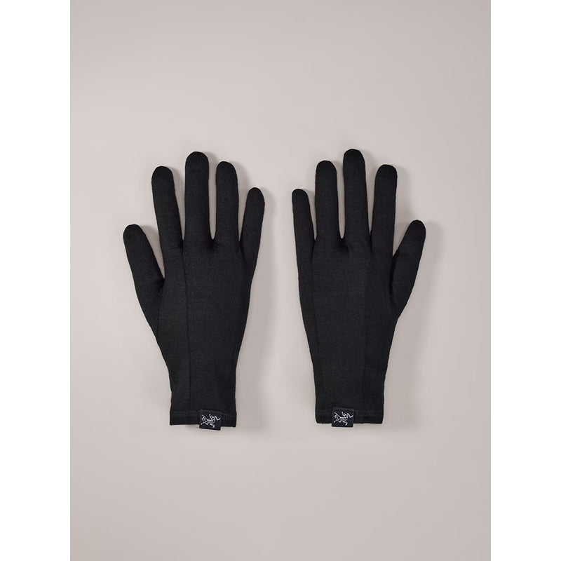 Gants Gothic Arc'teryx