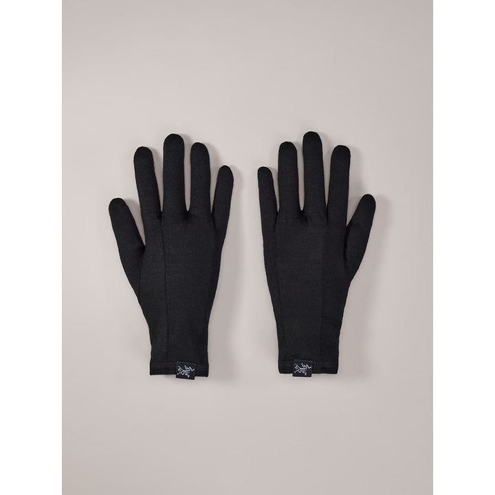 Gants Gothic Arc'teryx