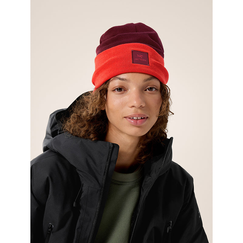 Bonnet Colour Block Arc'teryx