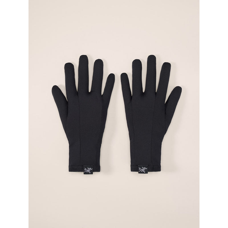 Gant Arc'teryx Rho