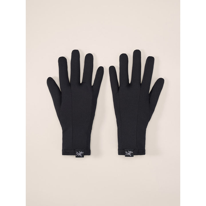 Gant Arc'teryx Rho