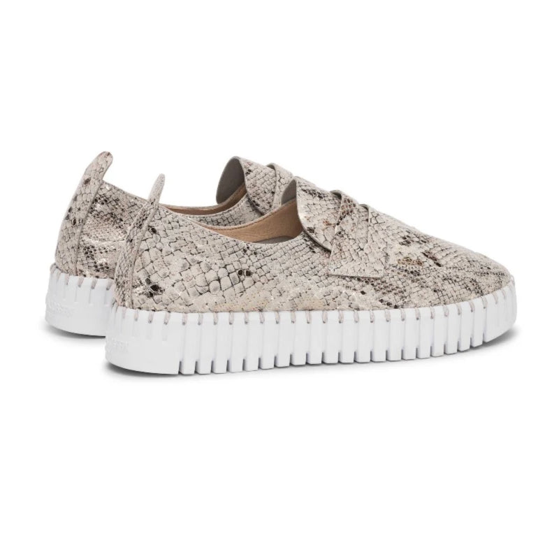 Chaussure Ilse Jacobsen TULIPC1003