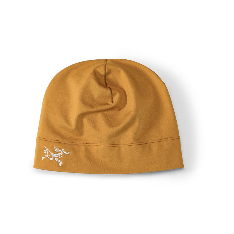 Arc'Teryx Rho Toque