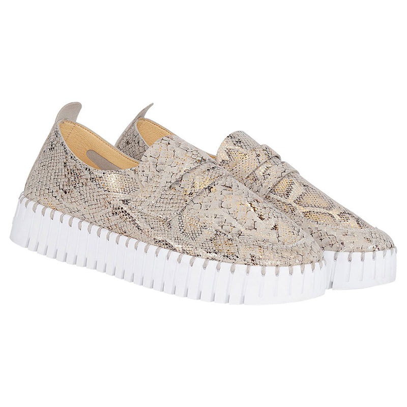 Chaussure Ilse Jacobsen TULIPC1003
