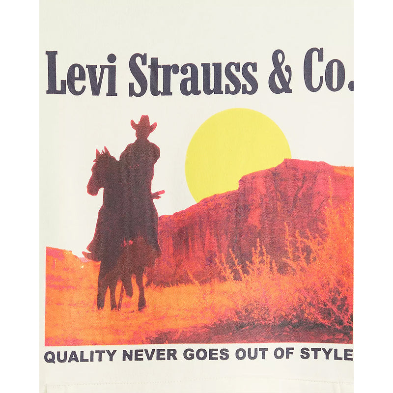 Sweat à capuche graphique coupe décontractée Levi's