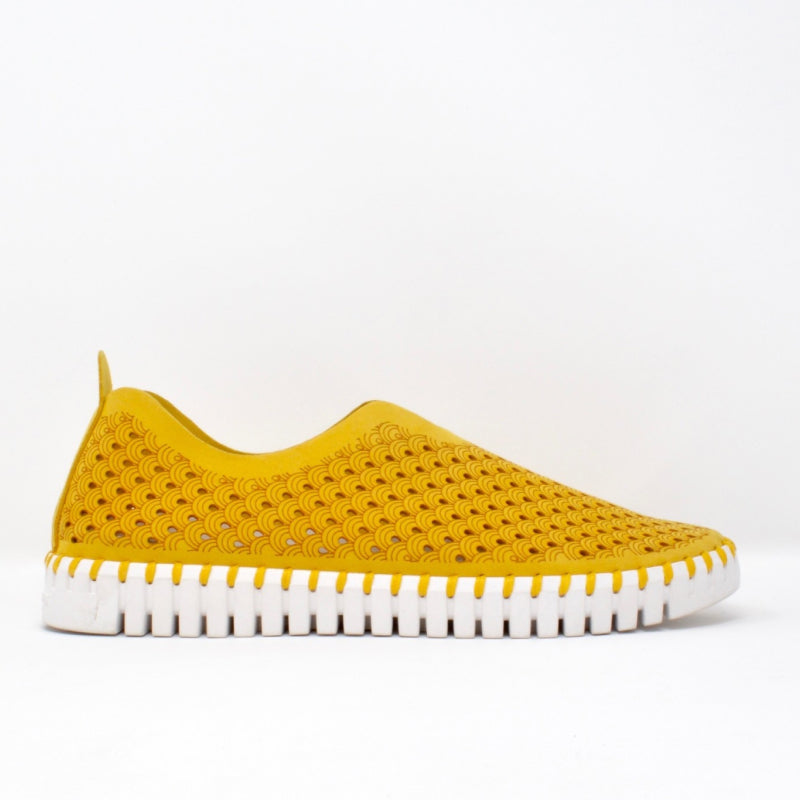Chaussure Ilse Jacobsen TULIP139