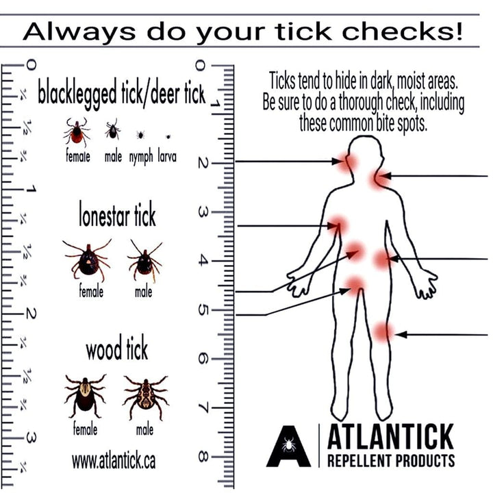 Atlantick Tick Kit - Kit d'outils pour l'élimination des tiques