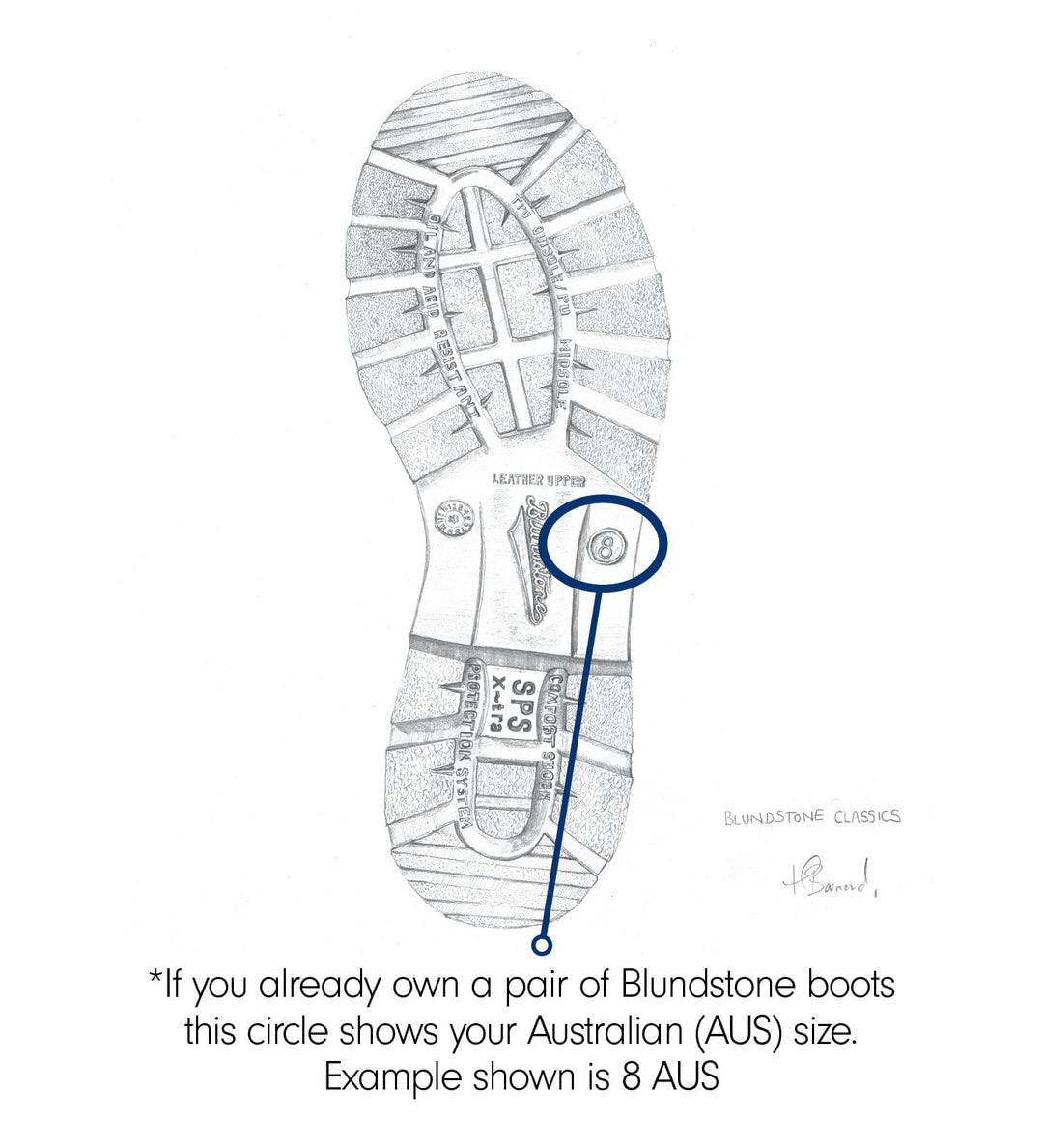 Blundstone 1900 - Men's Ankle Dress Boot - Chestnut